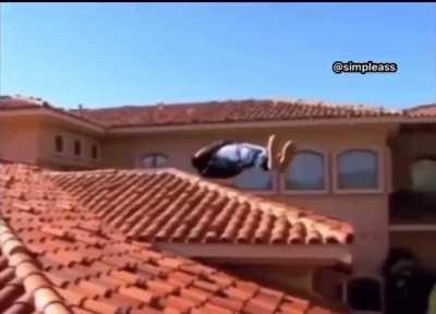 POV: you just listened to no child left behind