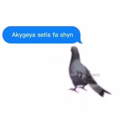 Does this belong here