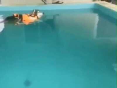 She was supposed to learn how to swim, but discovered she could just float instead