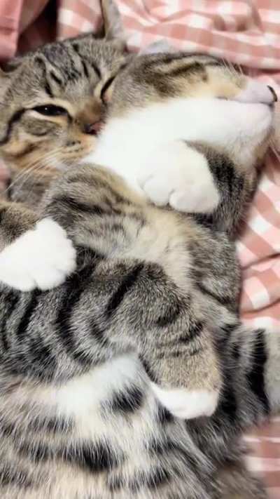 wunky hostage situation