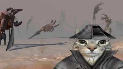 The look of a thousand obediences 