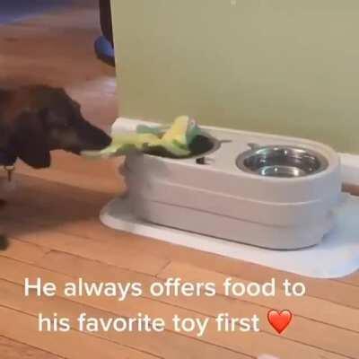 Good boy offers food to his toy
