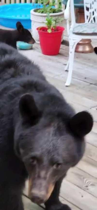 Close the damn door!