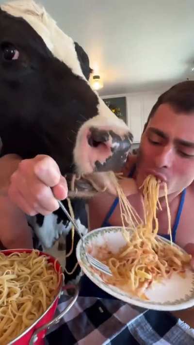 A meal with a cow