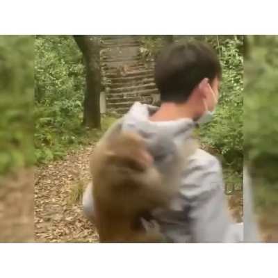 Remix de animales parte 3