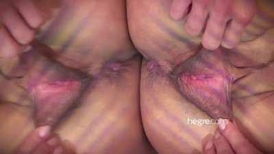 Hegre Fotoğraf Çekimi