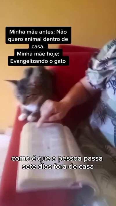 Que isso Kiki?