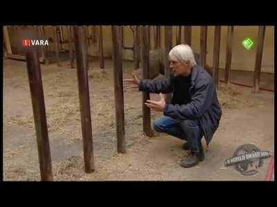 SCP 106 HAS BREACH CONTAMENT