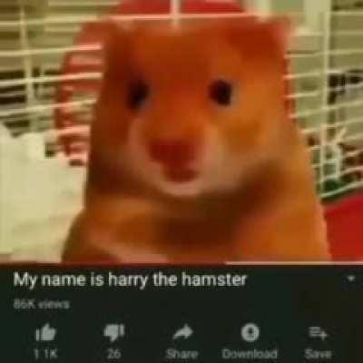 LIL'E HARY