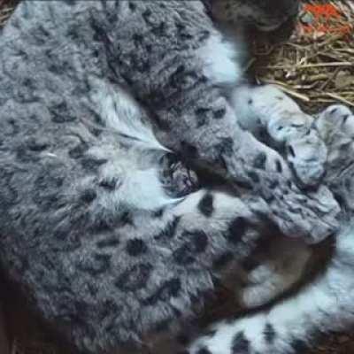 The most adorable baby!