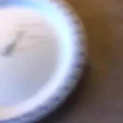 🅗🅔🅛🅥🅔🅣🅘🅒🅐 🅢🅣🅐🅝🅓🅐🅡🅓