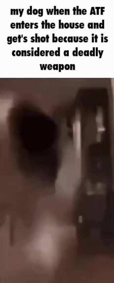 I hate federal agents.