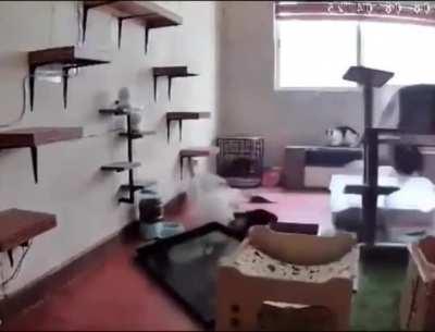 Glad they didn't overreact 😌