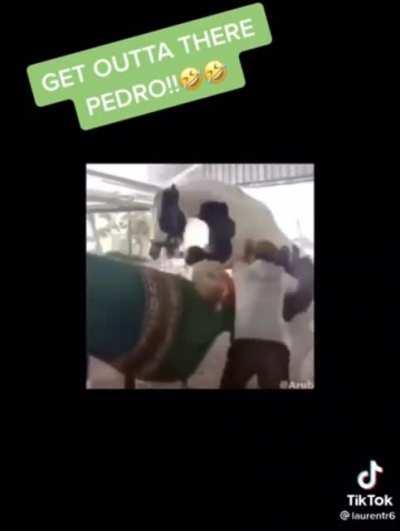 Confused horse main (im so getting band from this sub lol)