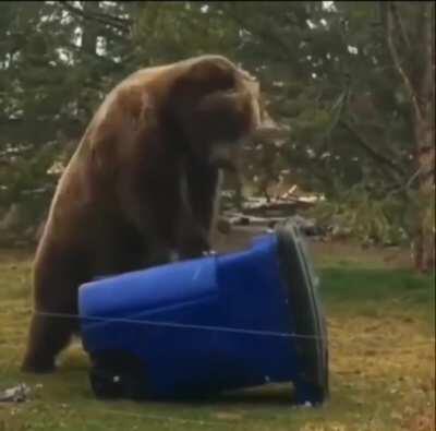 Come On. Don't. Die. On. Me. Dust Bin.