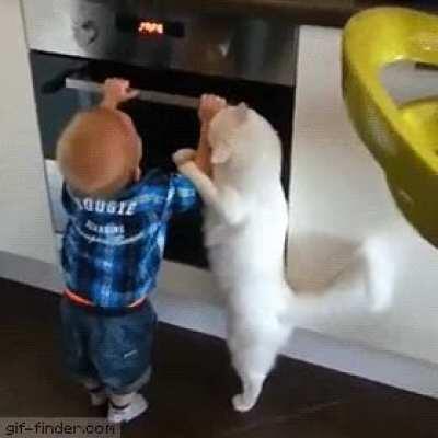 It's not safe little human