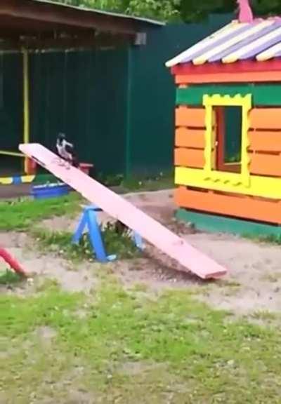 Don't need no friends...