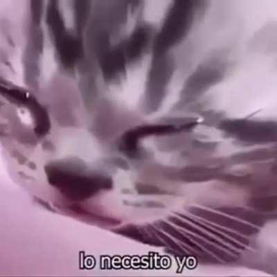 It's my turn 😔✊