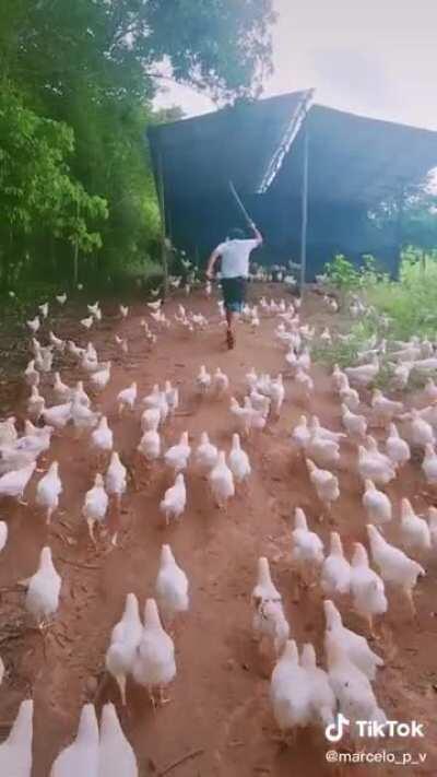 WHIN DA BOSS ‘ELLS WAAAAGGGHHHH