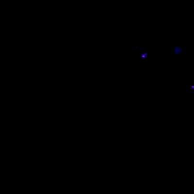 Just a music video nothing else