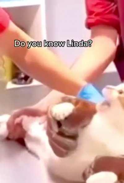 he's going away for a long time... ☕