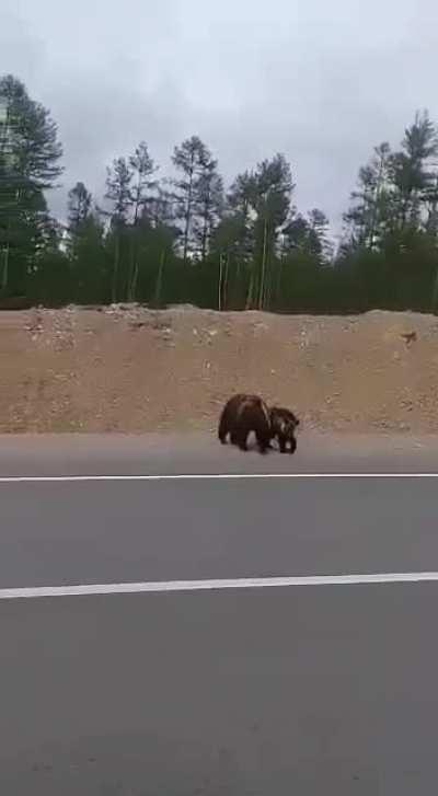A story with a beginning, middle, and unexpected end. From my Uncle, a Russian trucker in Siberia. I have lots of these, if you all would like to see.