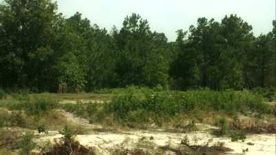 The commercial space race