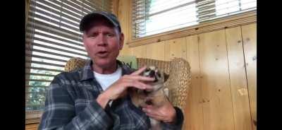 Собака хаоса