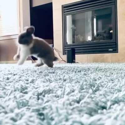 The ULTIMATE binky! My blue eyes bun doing her thing.