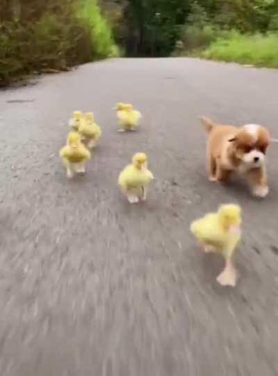 I can't let these little guys outrun me!