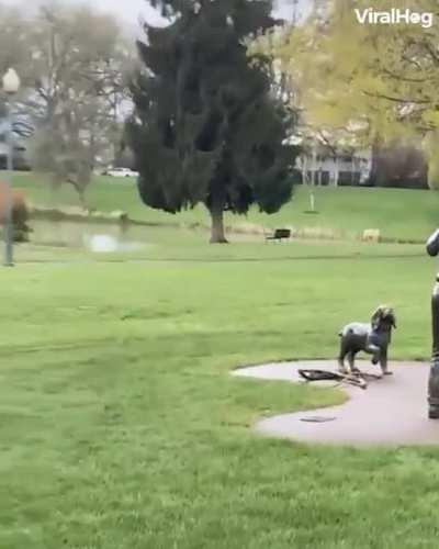 Please throw the ball !