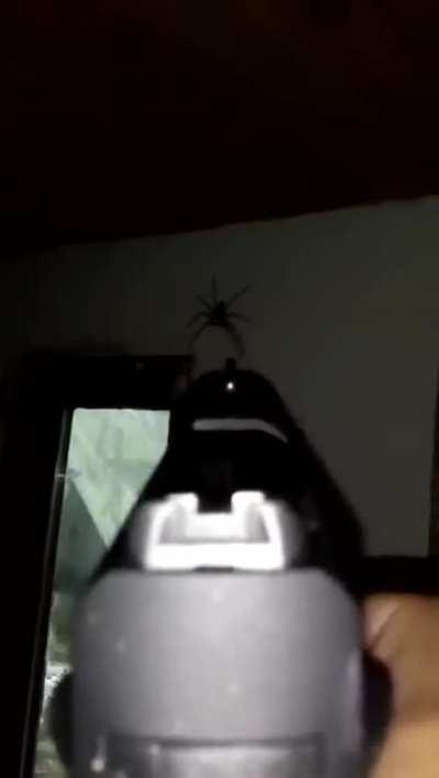 Patriotic extermination