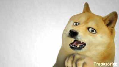 Dream blunt rotation