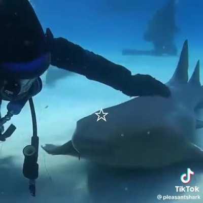 There's some sea puppers for ya