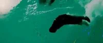 Never knew that Bollywood filmed in Singapore!