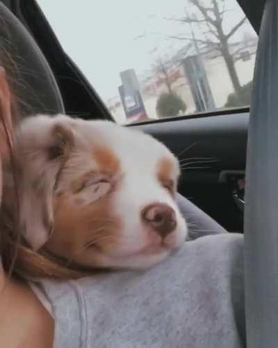 He was so happy during the trip...