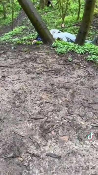 To go on a nature walk.