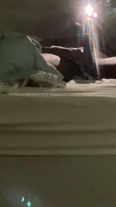 Sit on my face and swallow me please 🥲❤️