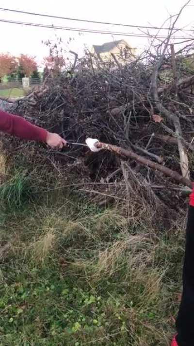 I mean what was she expecting