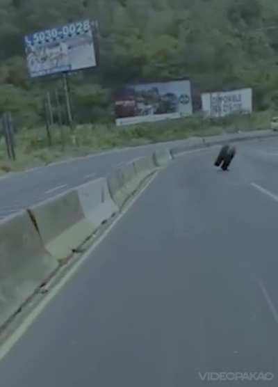 Damn that center divider should get a medal