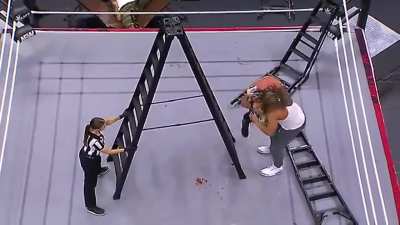 1 year ago today Chris Jericho won the ROH World Title in a Ladder War