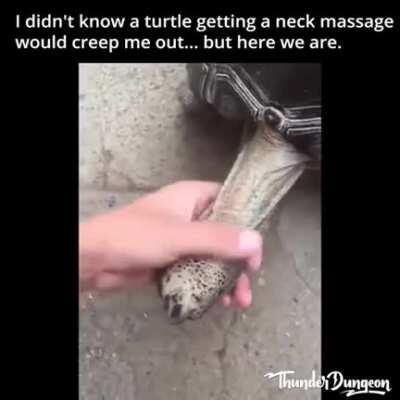 Thanks I hate turtle neck massages