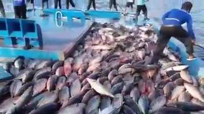 Нормально так клюёт.