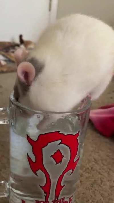 Sure Gizmo, I don’t mind if you have a sip of water