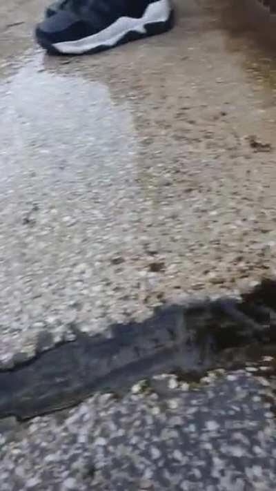 When a bug becomes a feature