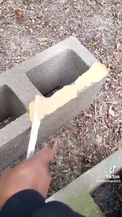 the active ingredient