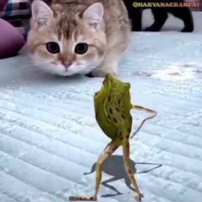 What the fr*g doin😳🤚