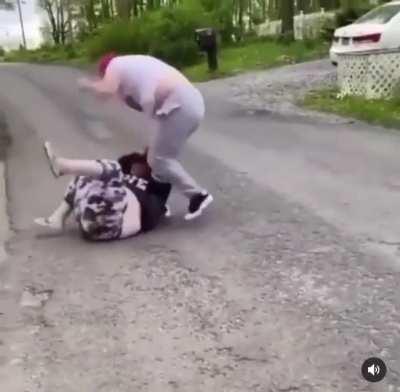 Two squealing pigs fight about… something… probably the last slice of pizza