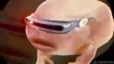 It is Wednesday my dudes