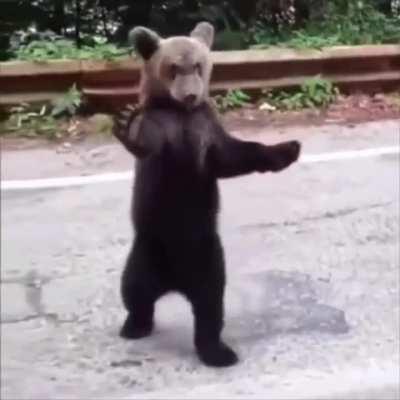 When you take your first kung fu class..